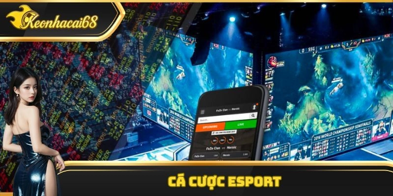 Cá Cược Esport