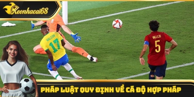 Pháp luật Việt Nam quy định về cá độ hợp pháp